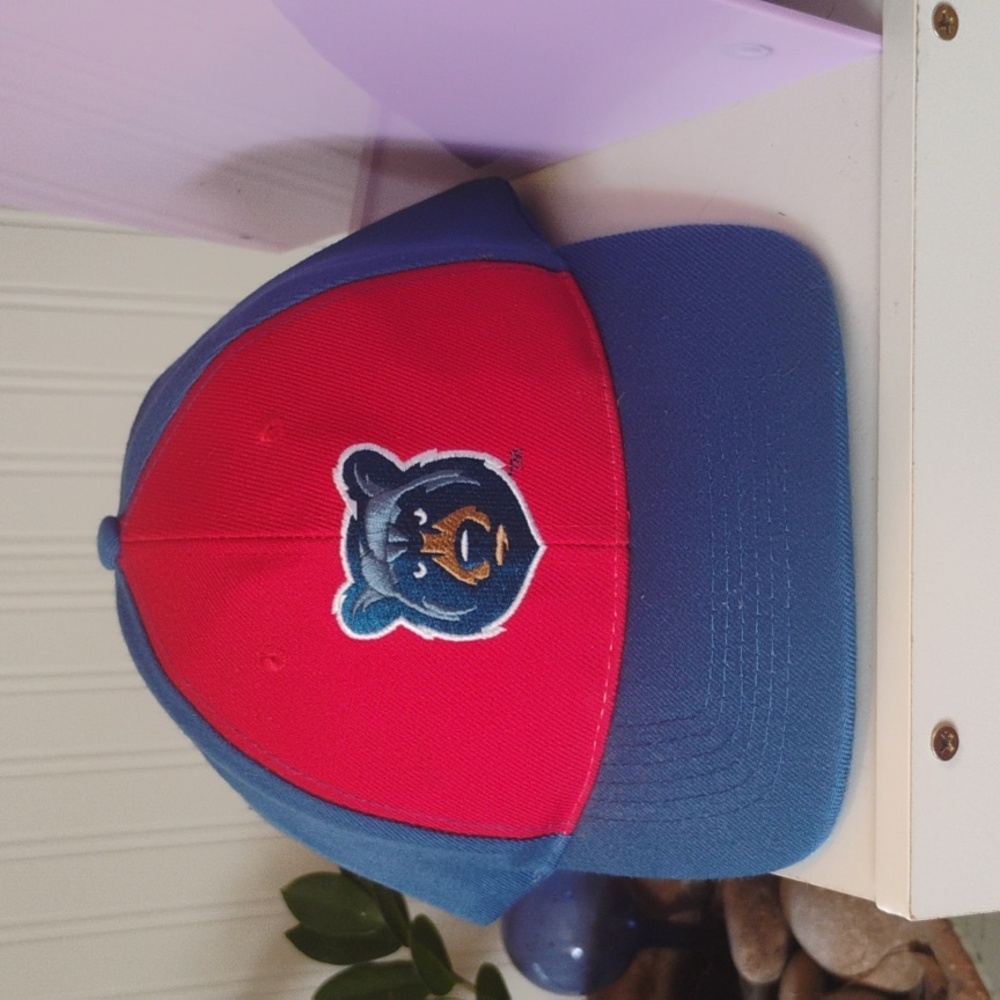 Smokies adjustable baseball hat